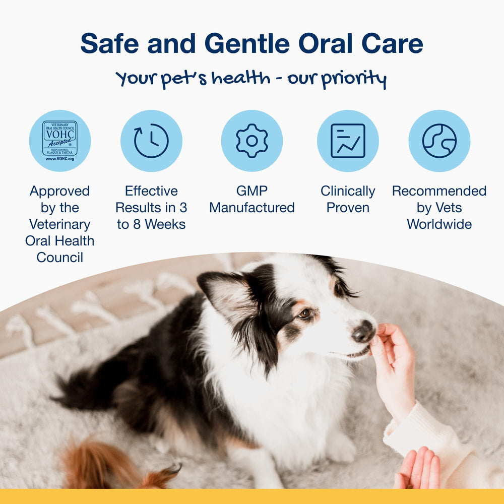 ProDen PlaqueOff bites on table: simple dosing of 4-8 bites daily.