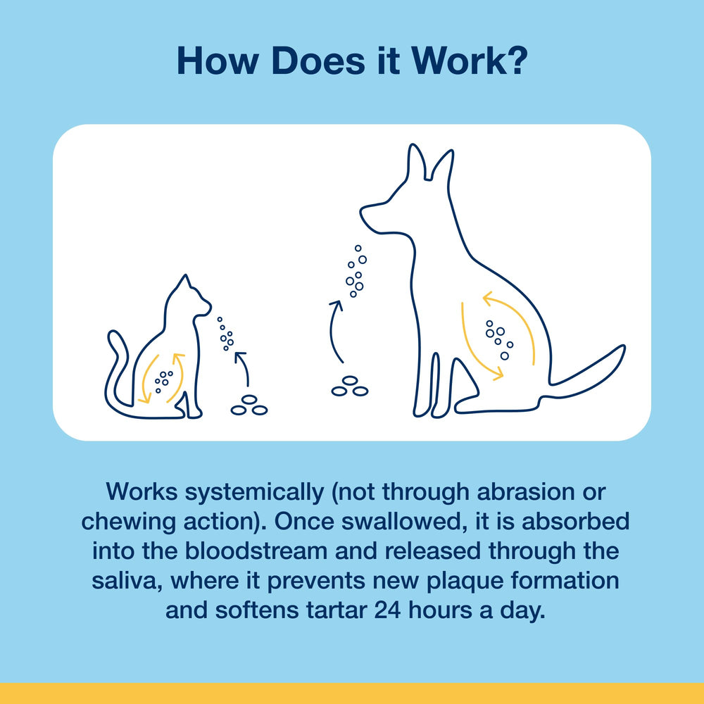 ProDen PlaqueOff dental bites ingredients: natural ingredients for dog care.