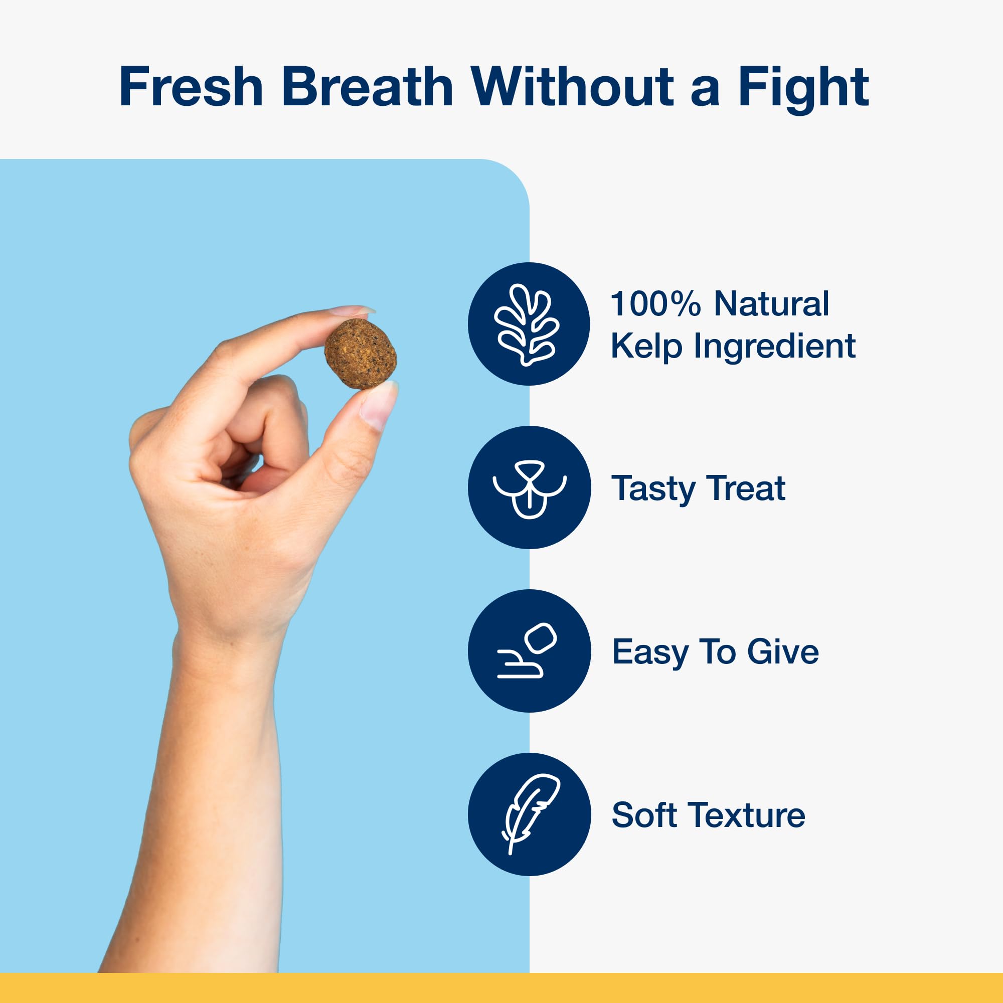 ProDen PlaqueOff kelp ingredient close-up highlighting natural source for oral health.