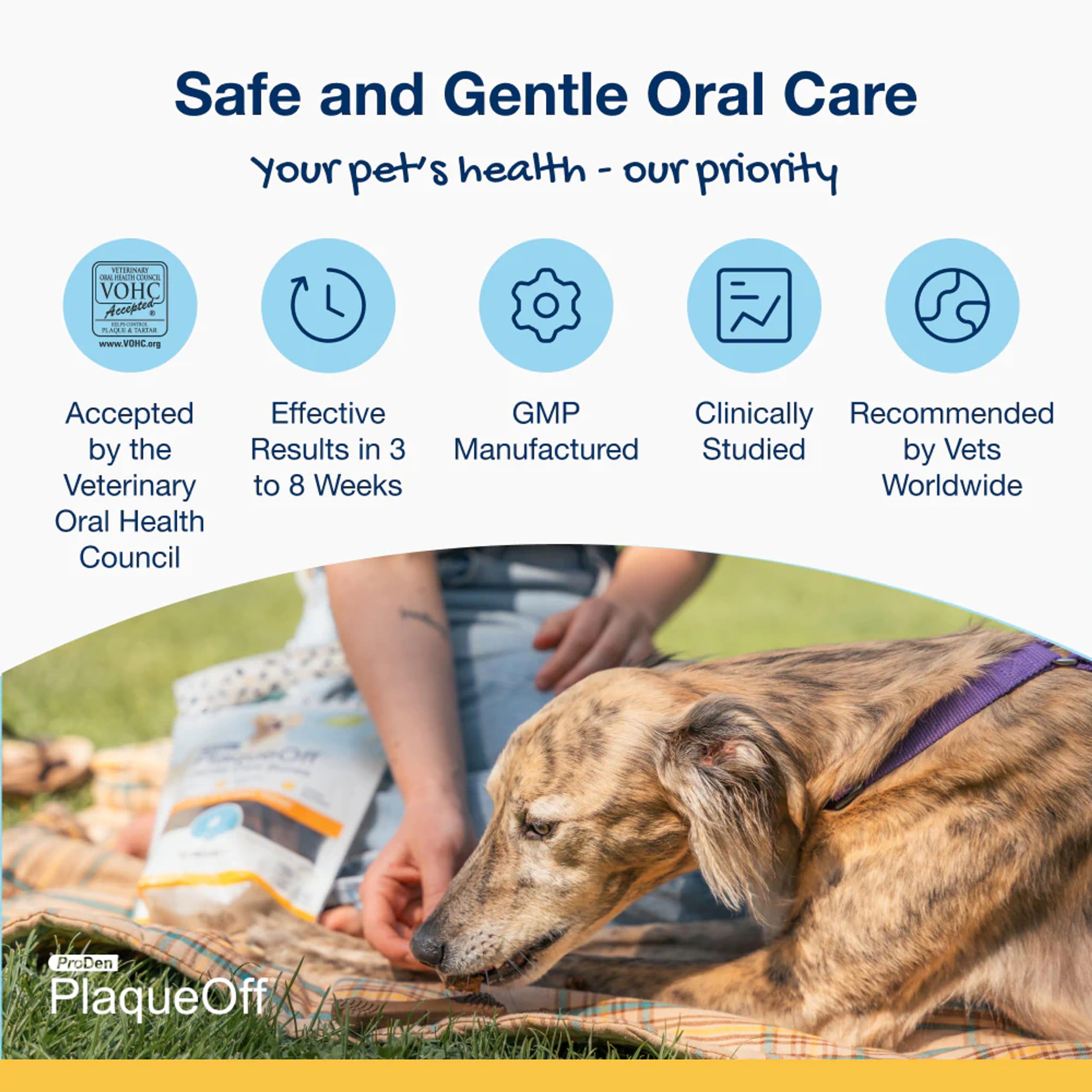 ProDen PlaqueOff Mini Dental Bones label image emphasizes grain-free and gluten-free ingredients