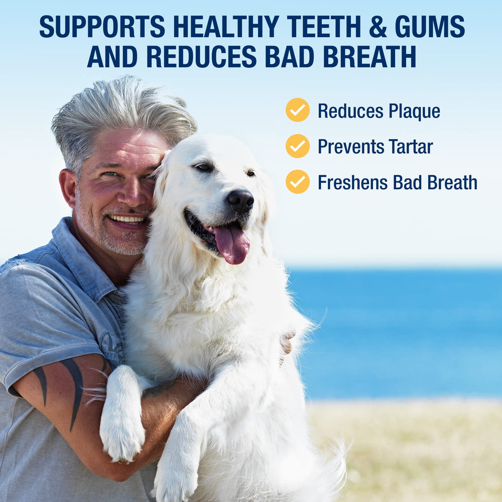ProDen PlaqueOff powder scoop aiding cat oral care for fresher breath.
