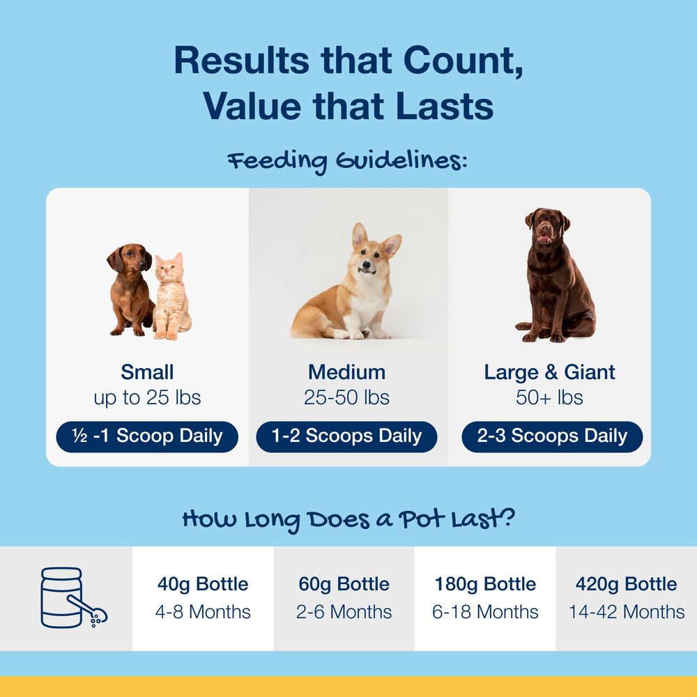 ProDen PlaqueOff powder on dog dental care setup hints at tartar reduction