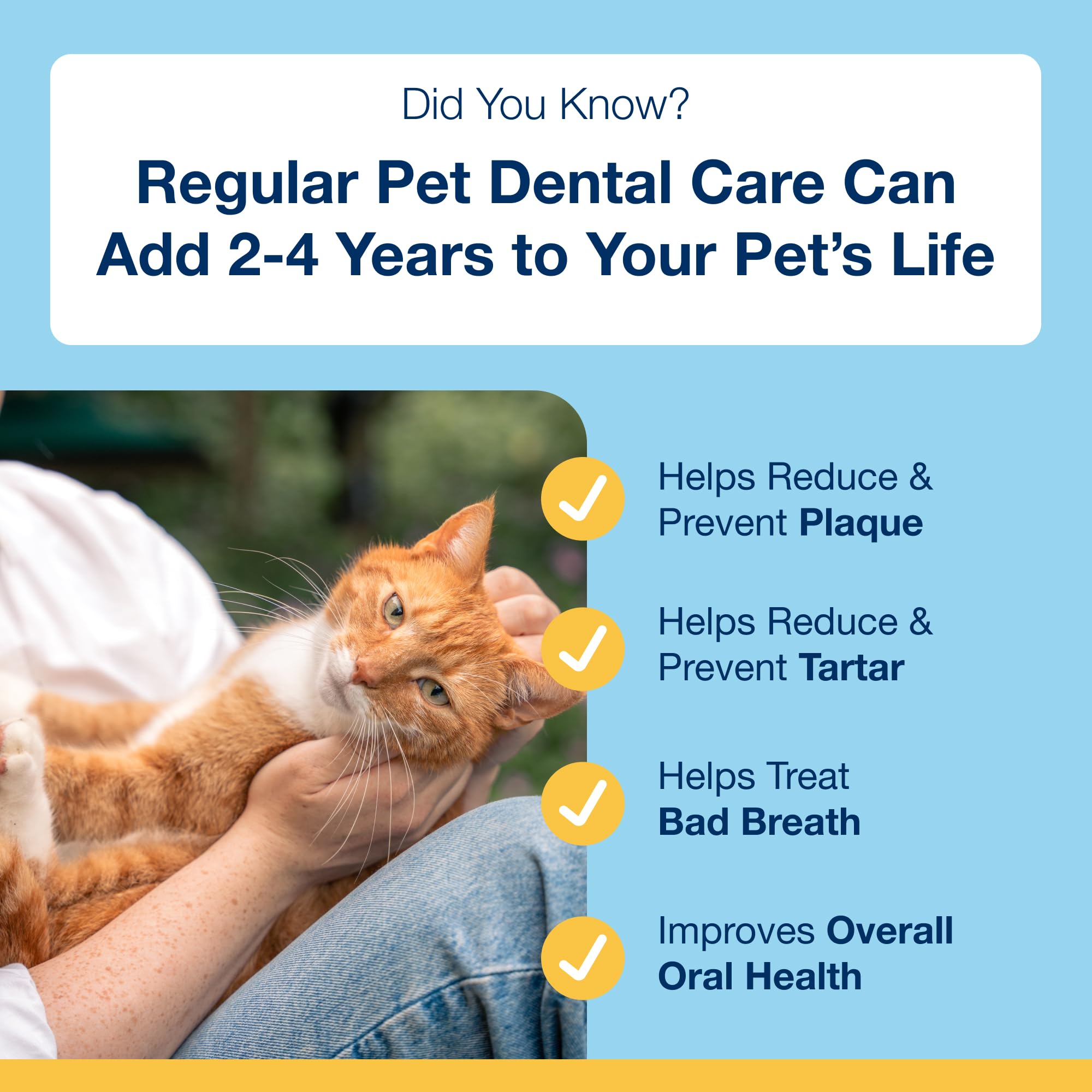 ProDen PlaqueOff cat powder with scoop for easy daily dental care.