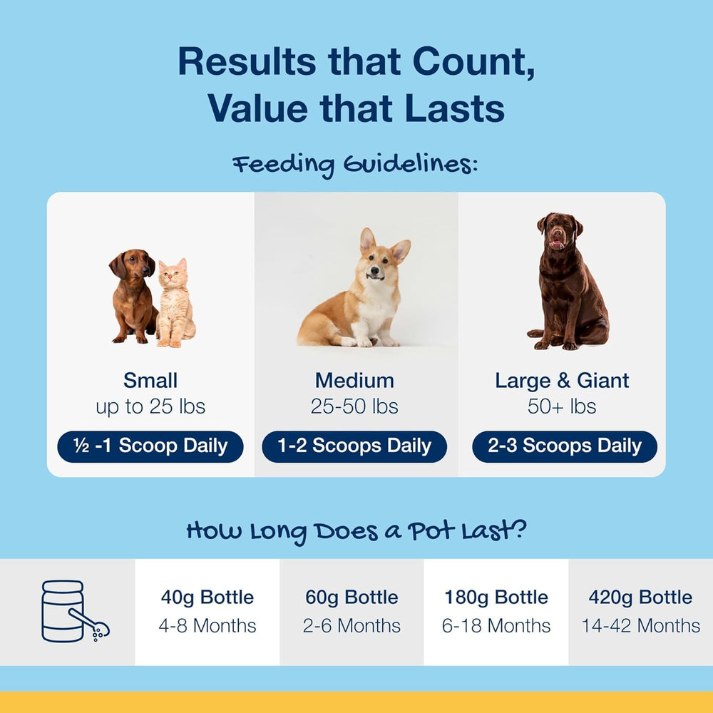 ProDen PlaqueOff packaging box demonstrates ready-to-use pet oral care.