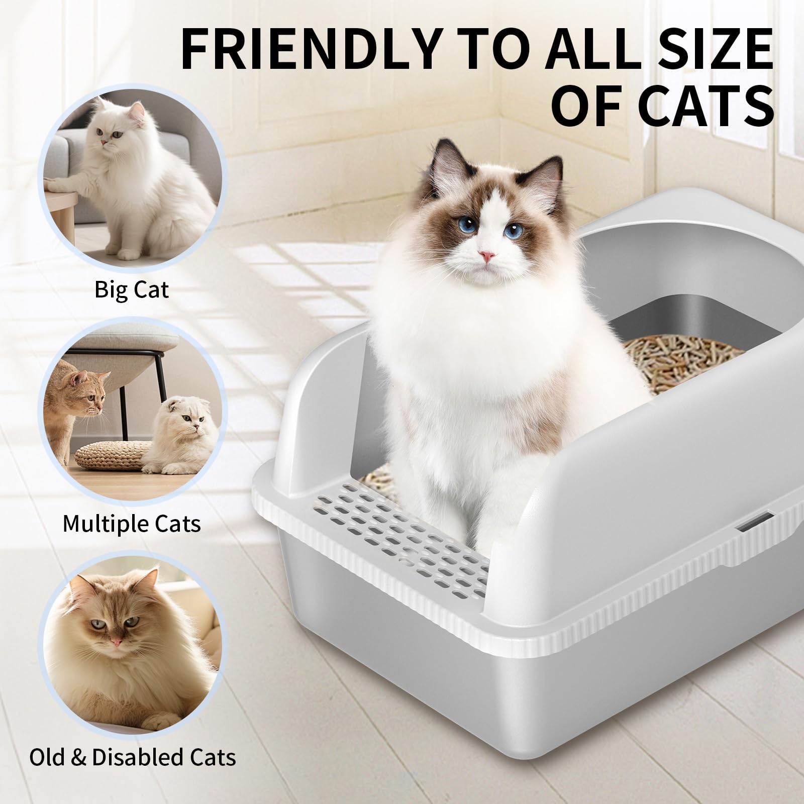 Prodigen litter box with splash guard reduces scatter and keeps rooms cleaner