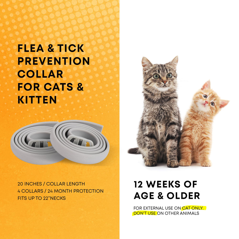ProElobara cat collar adjustable fit for kittens to large cats.