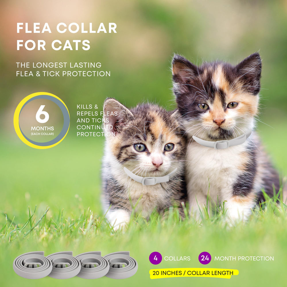 ProElobara kitten flea collar gentle protection for small cats and sensitive skin.