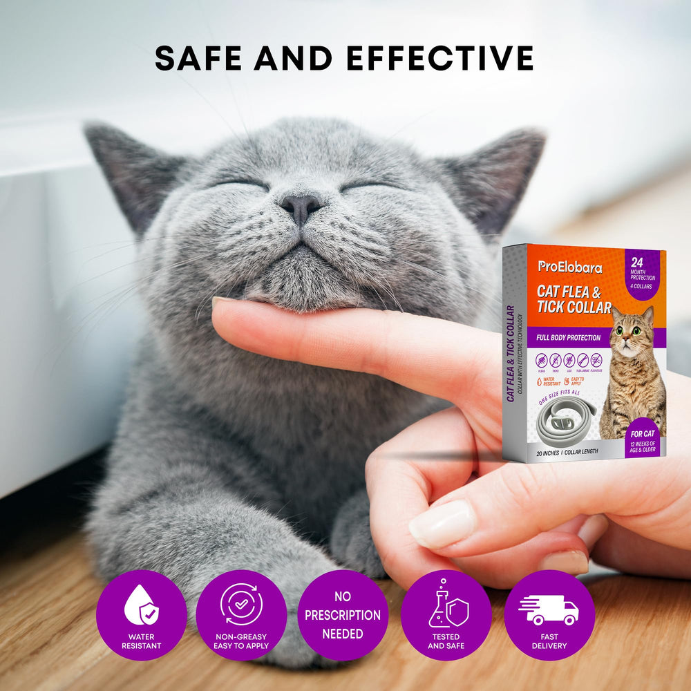 ProElobara odorless non-greasy collar keeps pets comfortable and clean.