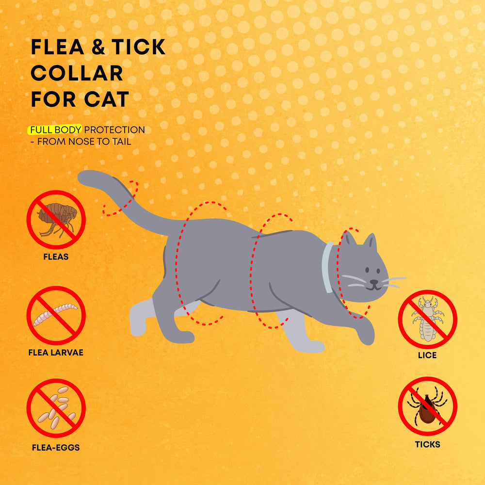 ProElobara waterproof cat collar shown during outdoor play for water-safe protection.