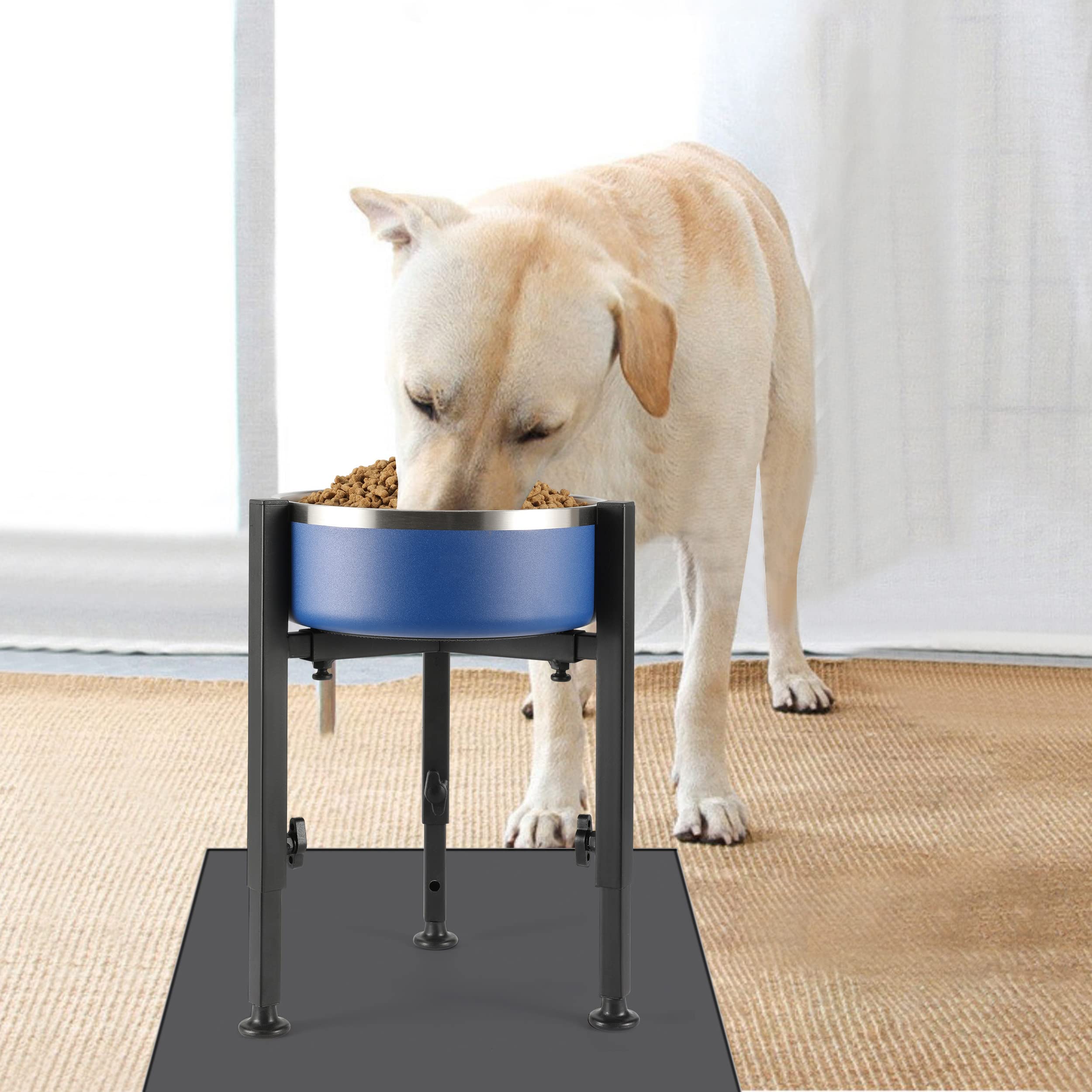 PROERR elevated-feeding area shows a comfortable posture for easier meals.