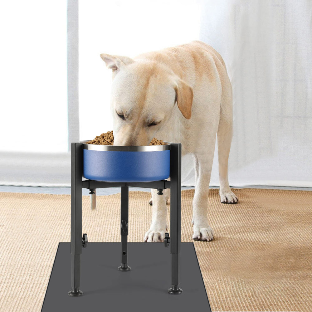PROERR elevated-feeding area shows a comfortable posture for easier meals.