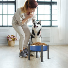 PROERR adjustable-width dog stand shows 6-10 inch bowl compatibility.