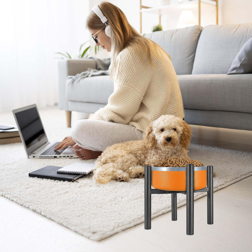 PROERR Lifted Dog Bowl Stand compatible with ceramic, stainless steel, and plastic bowls.