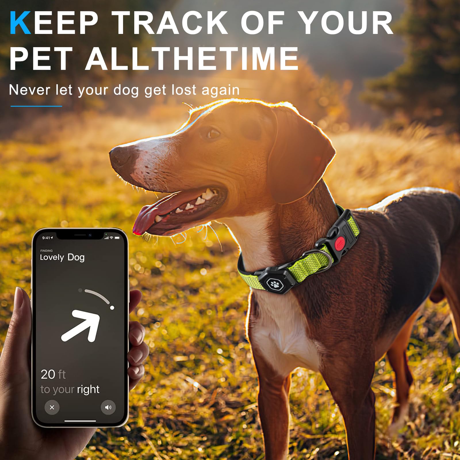 PROFAVO AirTag Collar neck measurement guide to help find the right fit for medium and large dogs
