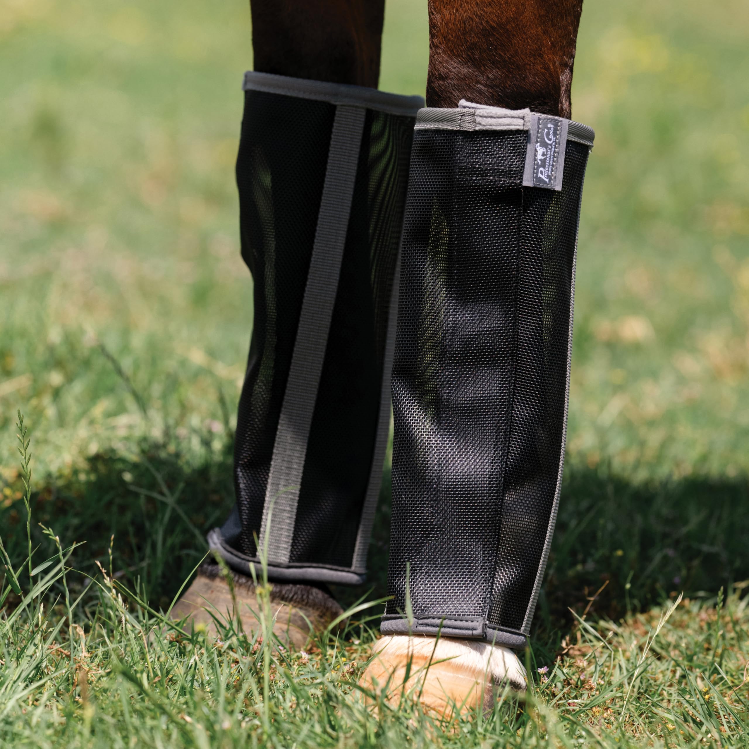 Professional's Choice Deluxe Fly Boots four-pack ready for field use and fly protection.