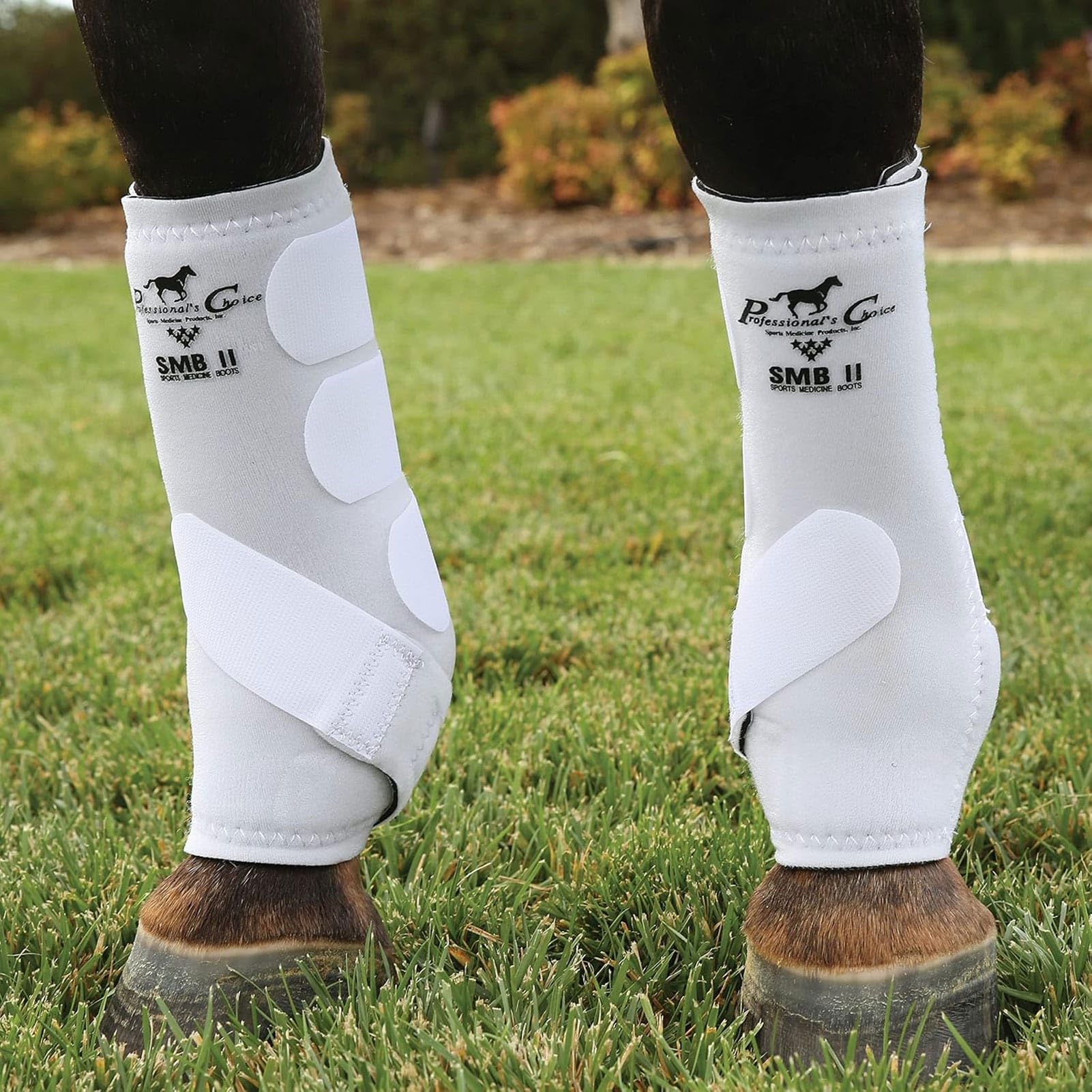 Professional's Choice SMBII boots close-up showing secure closure system for reliable fit.