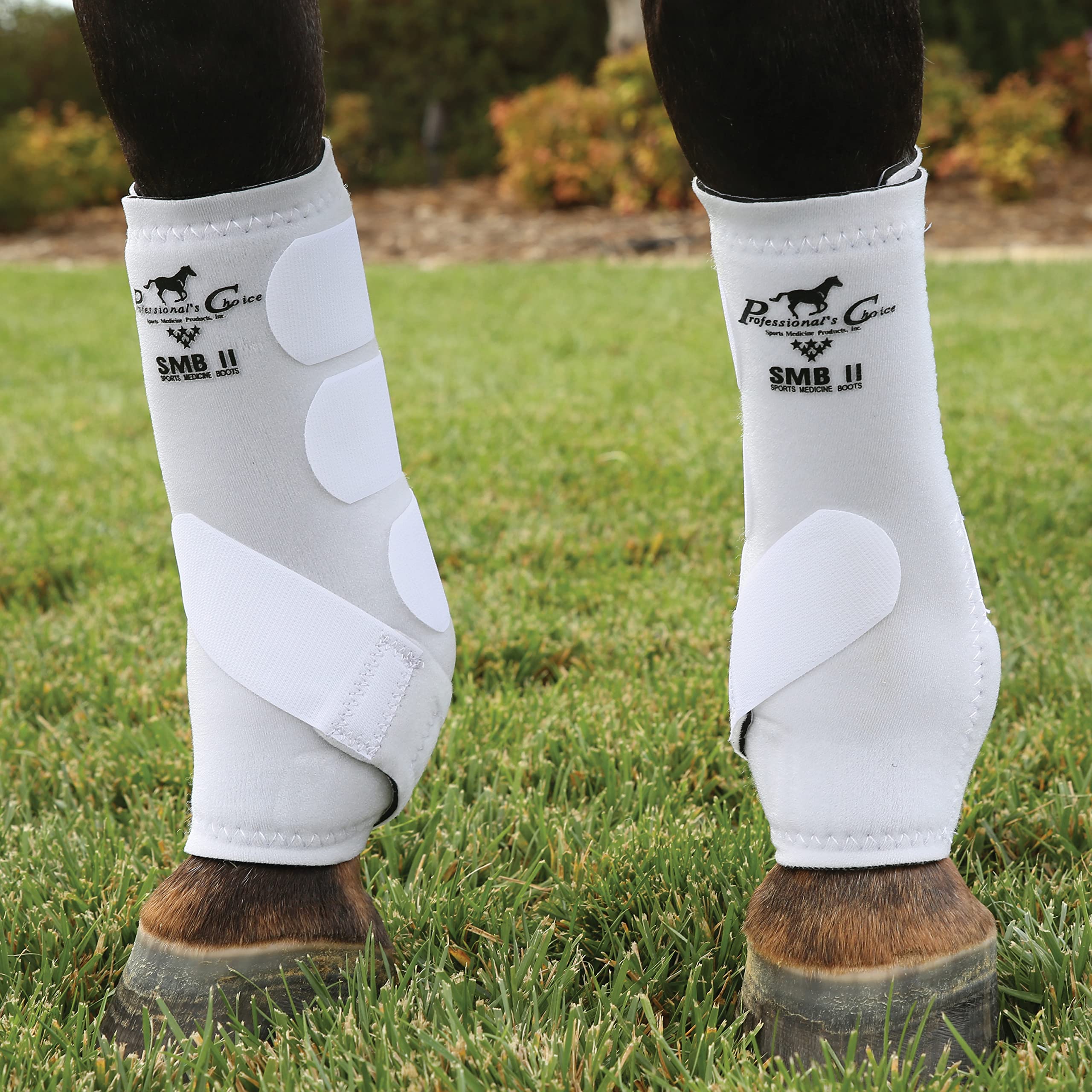 Professional's Choice SMBII boots on horse leg during training, indicating durable leg protection.