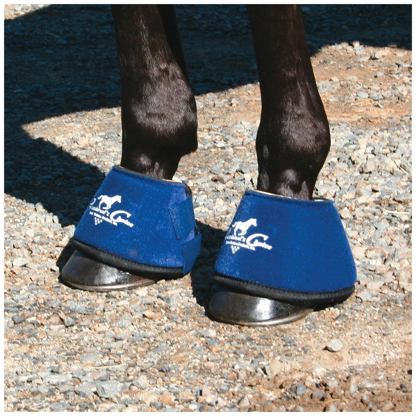 Professional's Choice Quick-Wrap Bell Boot highlighting durable binding for daily use.