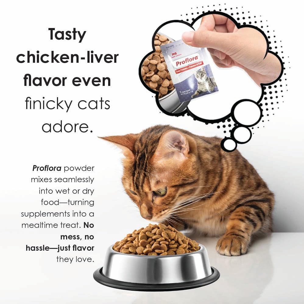 Proflora Cats delivers immune-friendly gut support during stress.