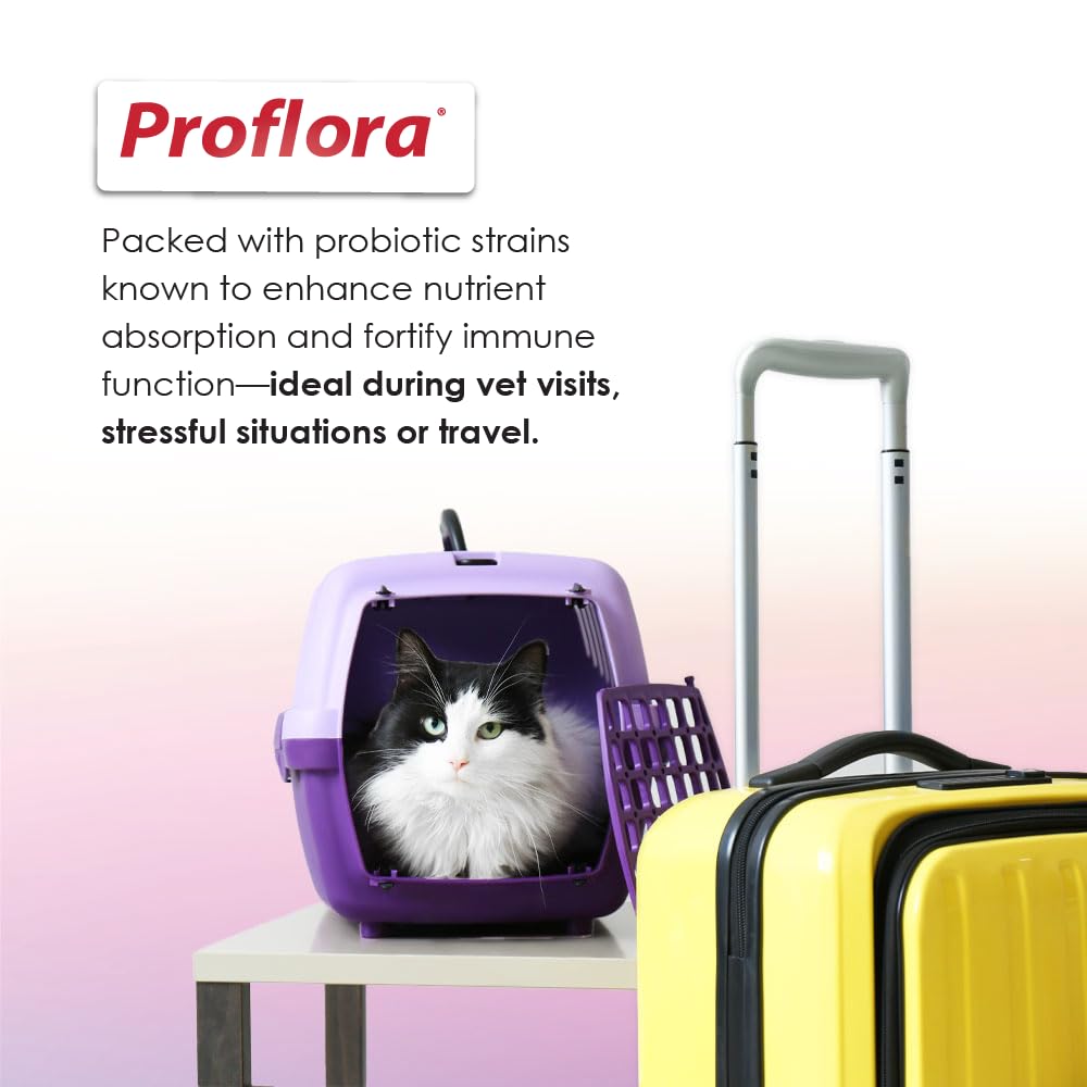Proflora Cats prebiotics fuel healthy bacteria for long-term digestive wellness.