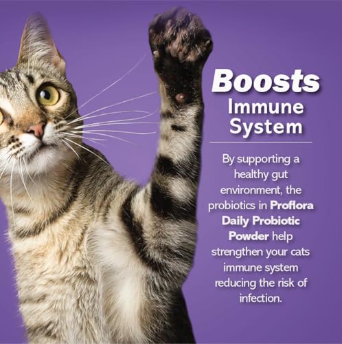 Proflora Cats probiotic powder mixed into wet food for seamless feeding.