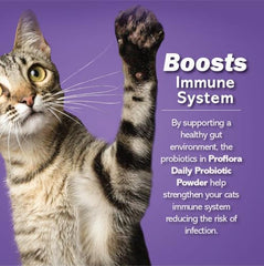 Proflora Cats probiotic powder mixed into wet food for seamless feeding.