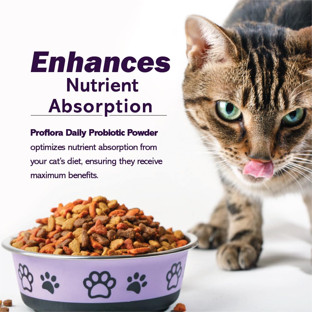 Proflora Cats veterinarian-formulated probiotic with prebiotics supports balanced gut flora.