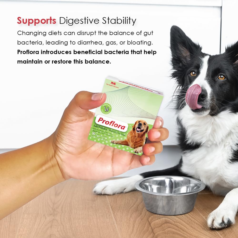 Proflora diet transition for dogs showing smooth changes