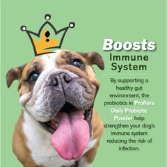Proflora digestive support for dogs illustrated for comfort