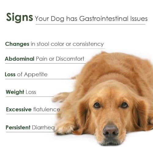 Proflora immune support for dogs packaging on shelf