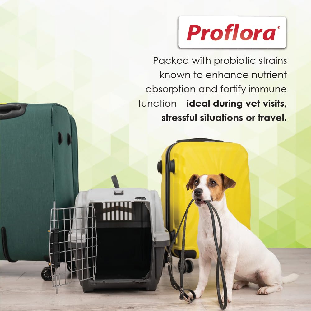 Proflora dog skin and coat health imagery