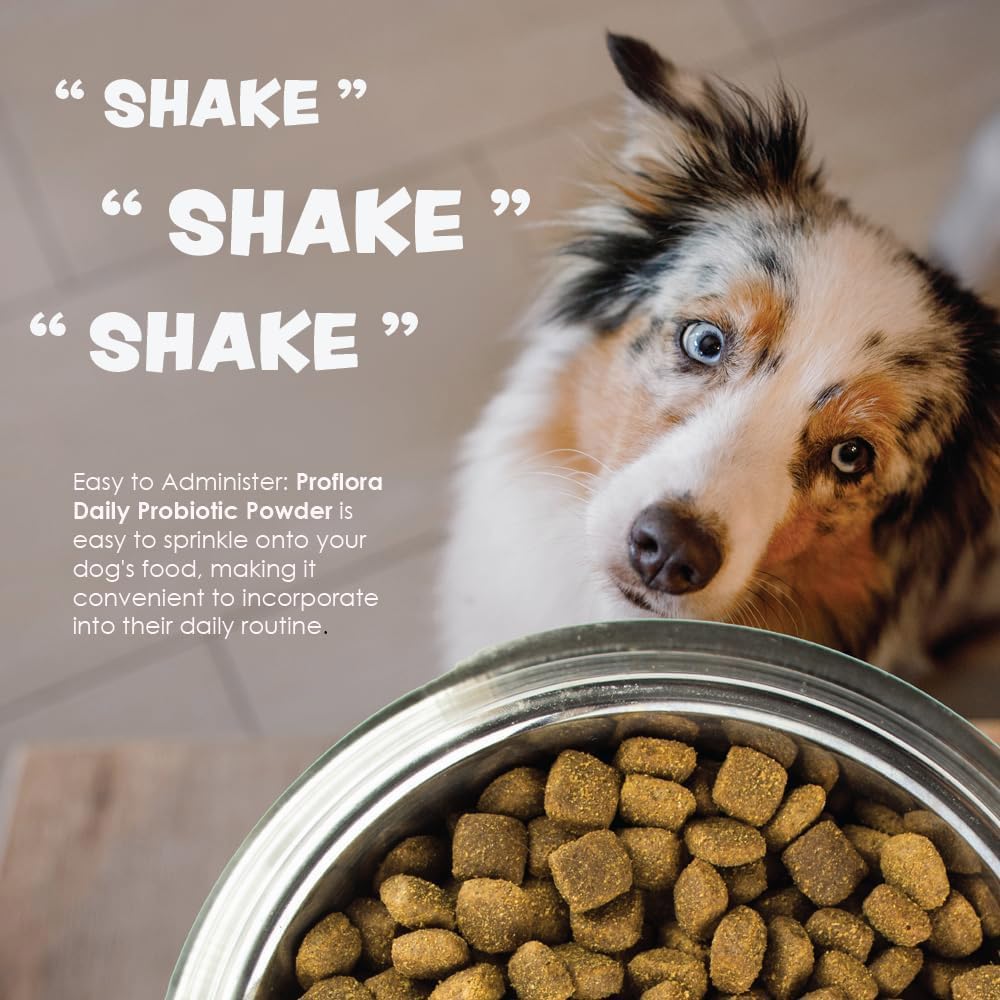 Proflora hassle-free dosing on dog meal time