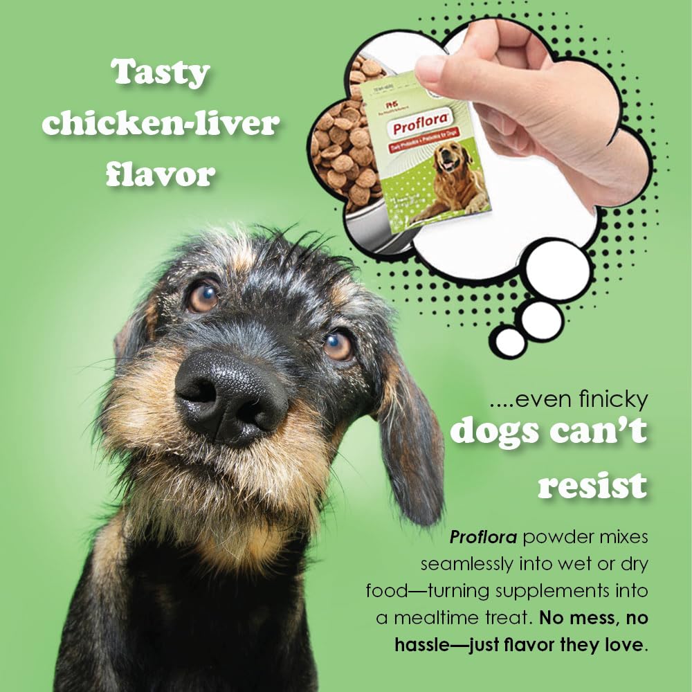 Proflora veterinarian-recommended probiotic for canine digestion