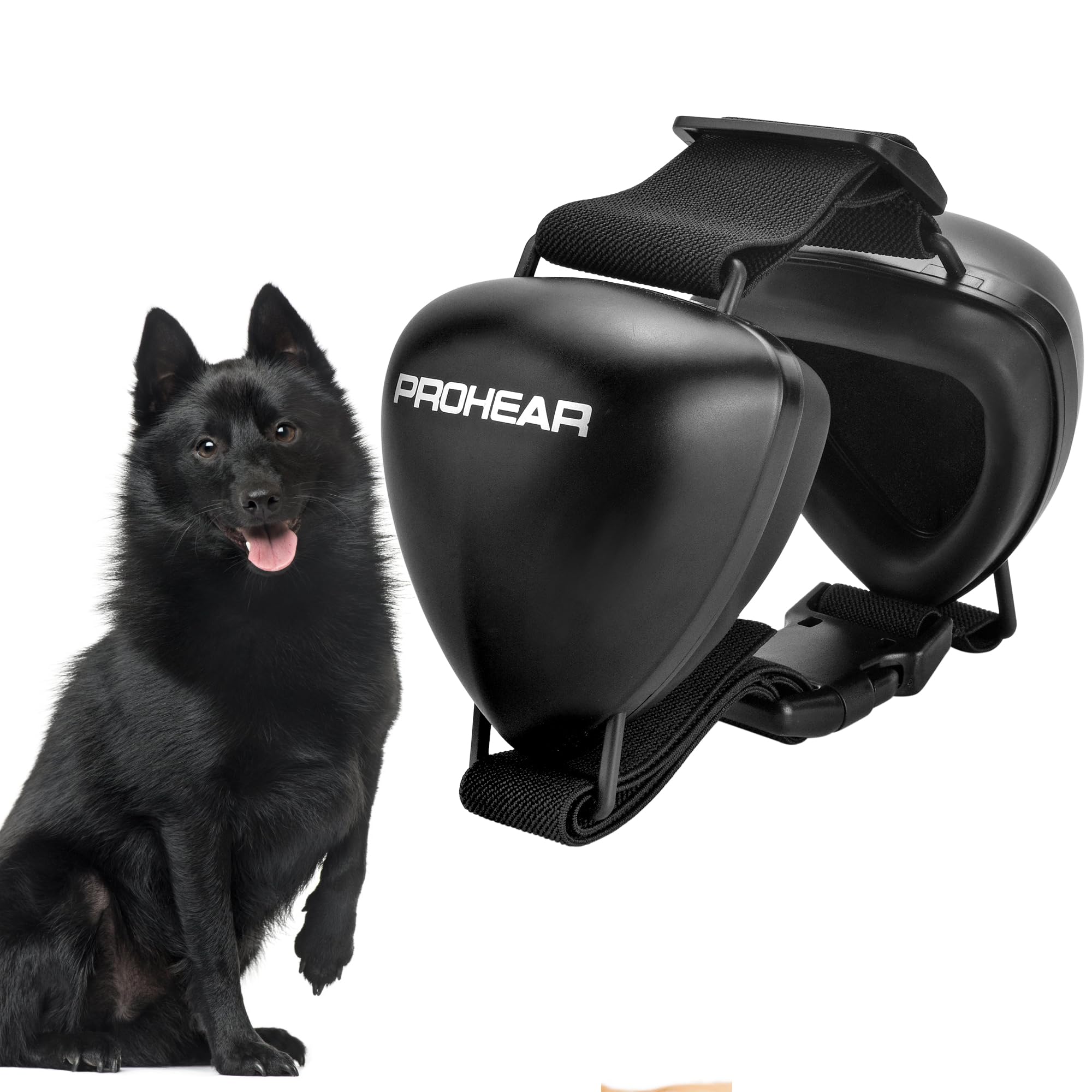 PROHEAR dog ear muffs blue on dog protect ears during thunderstorms