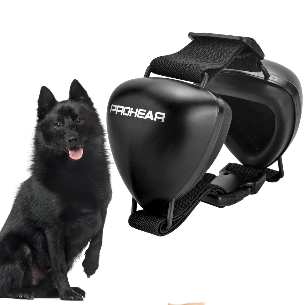 PROHEAR dog ear muffs blue on dog protect ears during thunderstorms