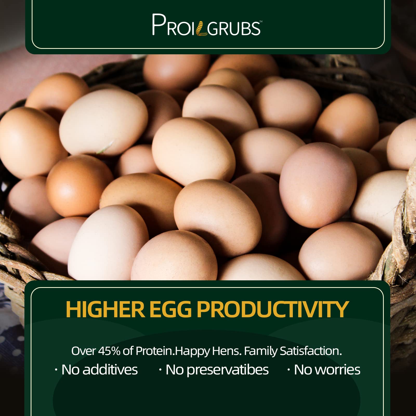 PROILGRUBS chickens feeding with BSFL demonstrates appealing aroma and boosted appetite