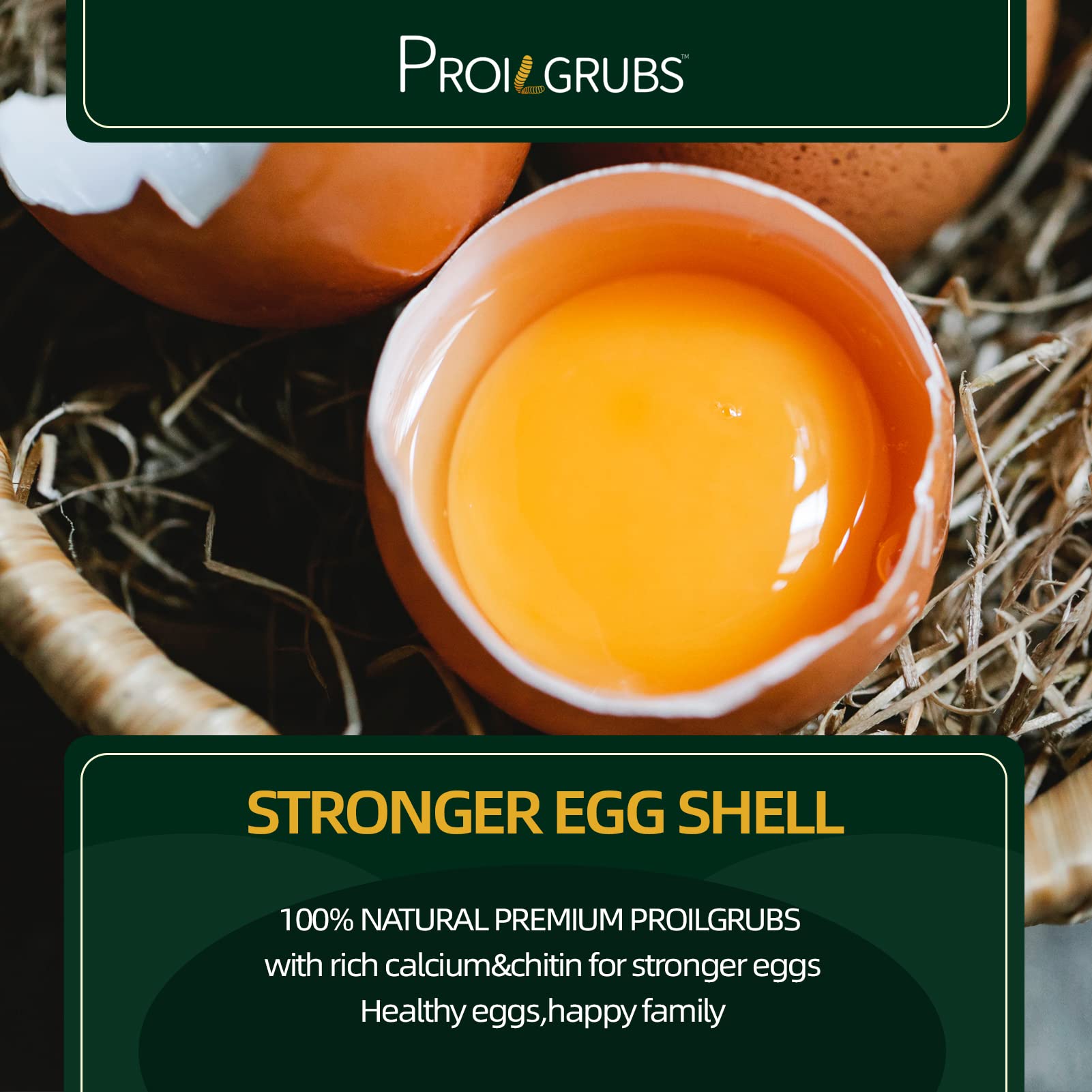 PROILGRUBS egg-shell-support BSFL image showing calcium-rich treat for stronger shells