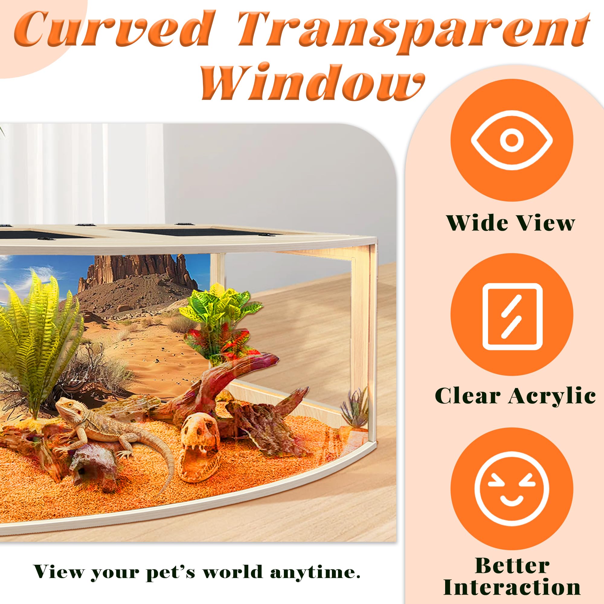 PROLEE Bearded Dragon Tank acrylic front view minimizes glare for clearer observation