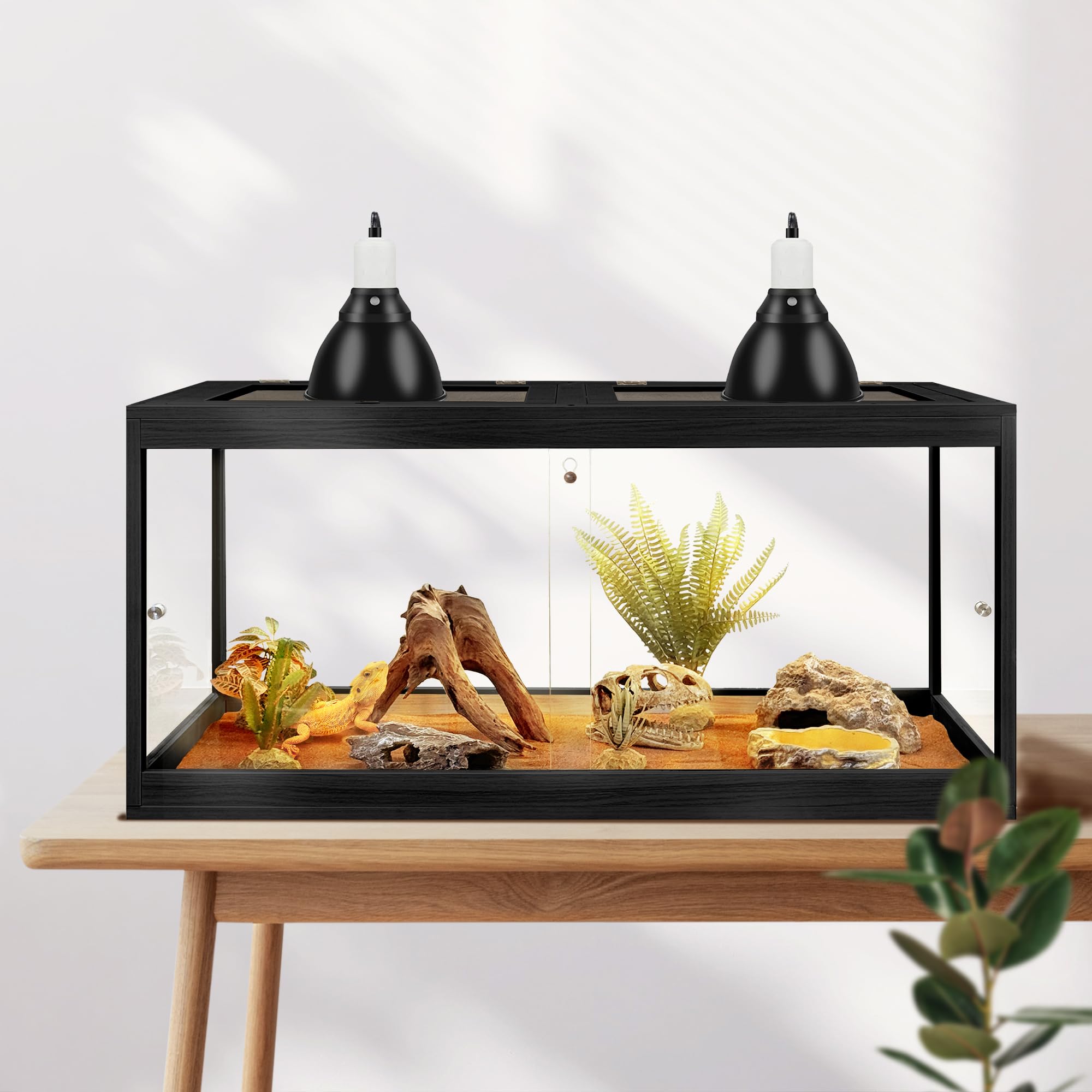 PROLEE Bearded Dragon Tank ambient setup in a reptile-friendly space