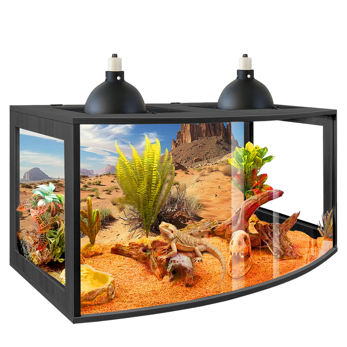 PROLEE Bearded Dragon Tank curved front panel offers wide, glare-free viewing for your reptile.