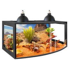 PROLEE Bearded Dragon Tank curved front for wide viewing and easier cleaning.