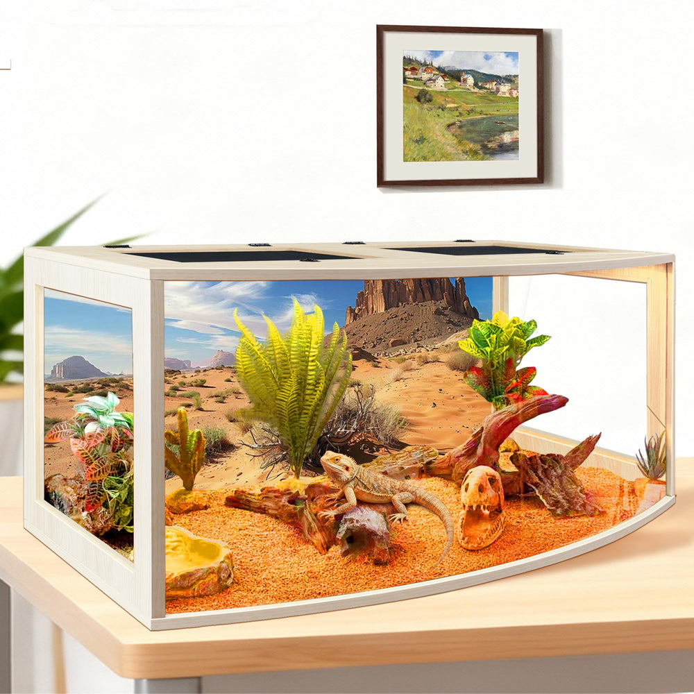 PROLEE Bearded Dragon Tank curved enclosure view enhances daily observation and interaction.