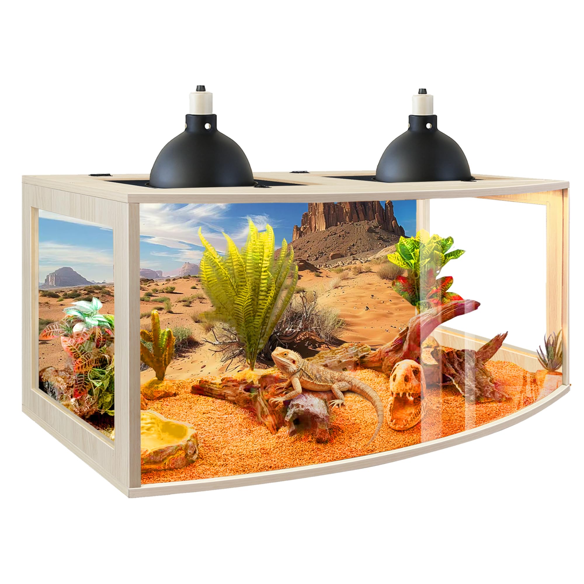 PROLEE Bearded Dragon Tank front curved acrylic panel provides a wide immersive view for observation.