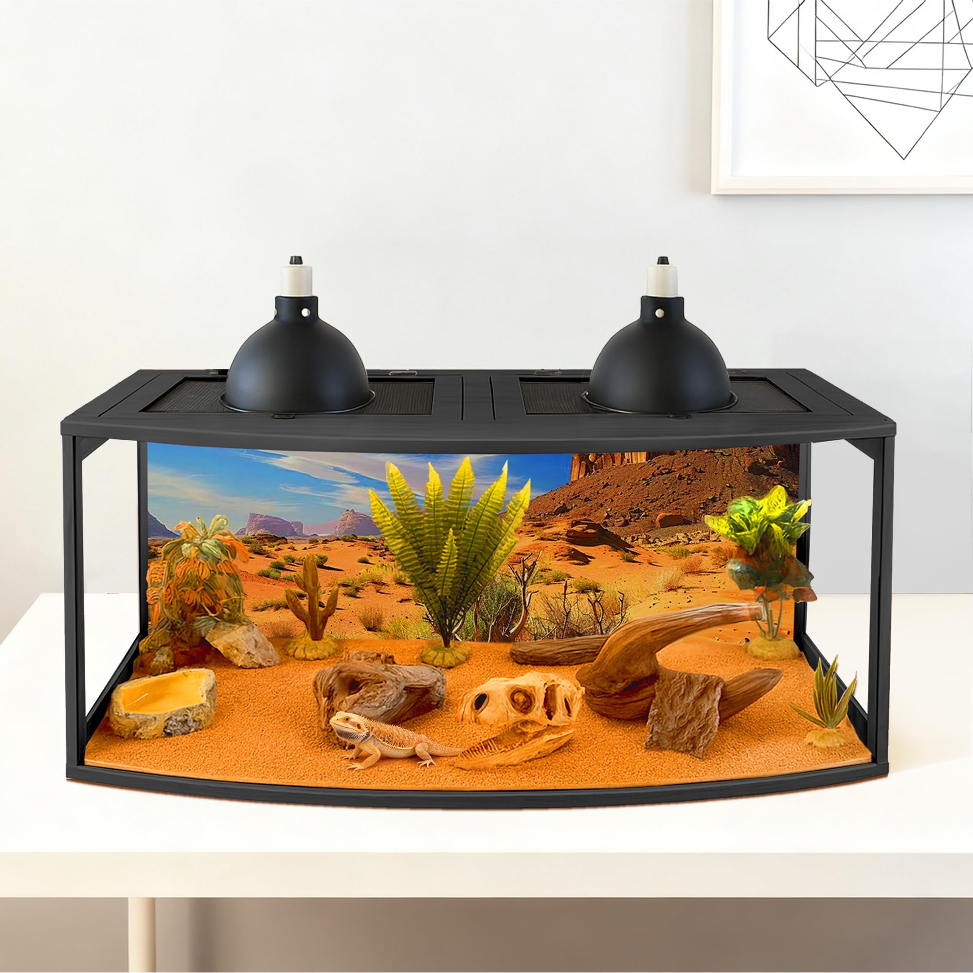 PROLEE Bearded Dragon Tank three-side clear acrylic panels maximize visibility and reduce glare.