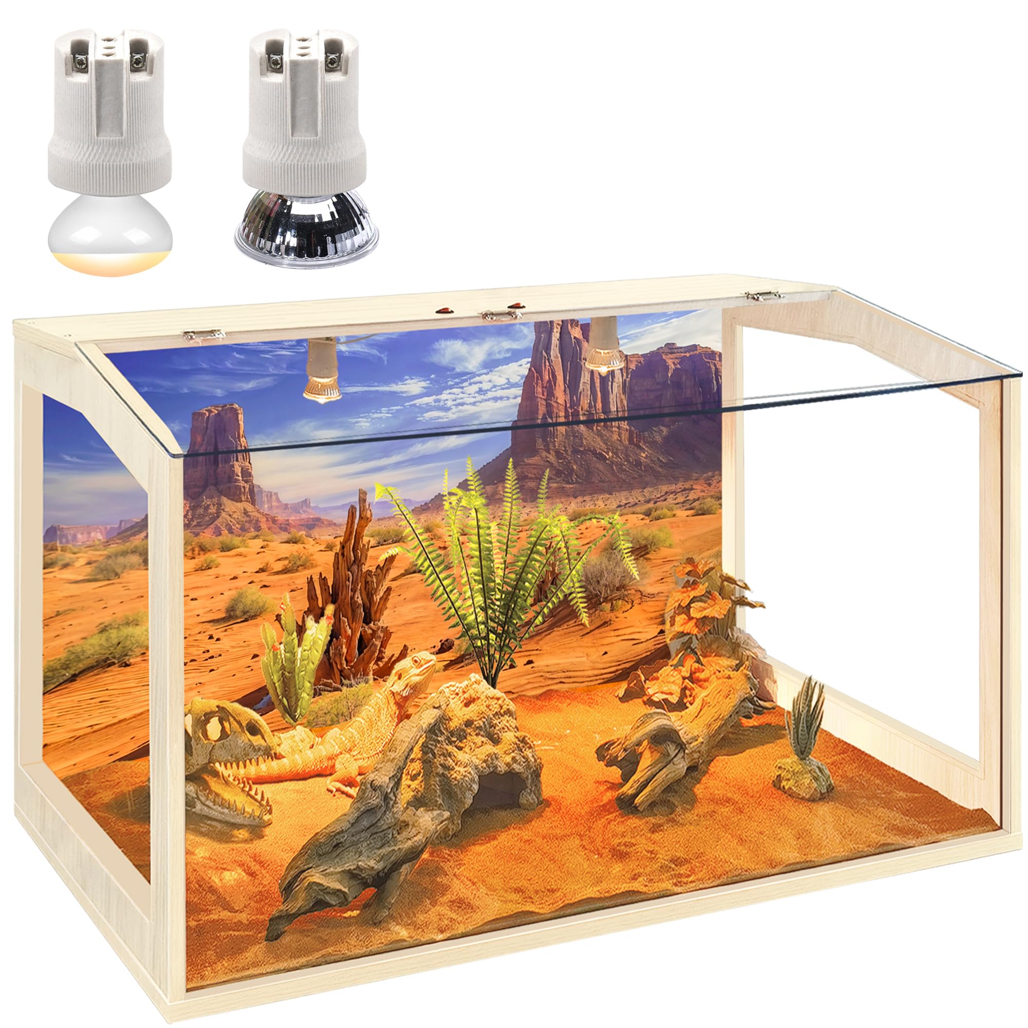 PROLEE Reptile Terrarium front view highlights spacious interior for roaming reptiles.