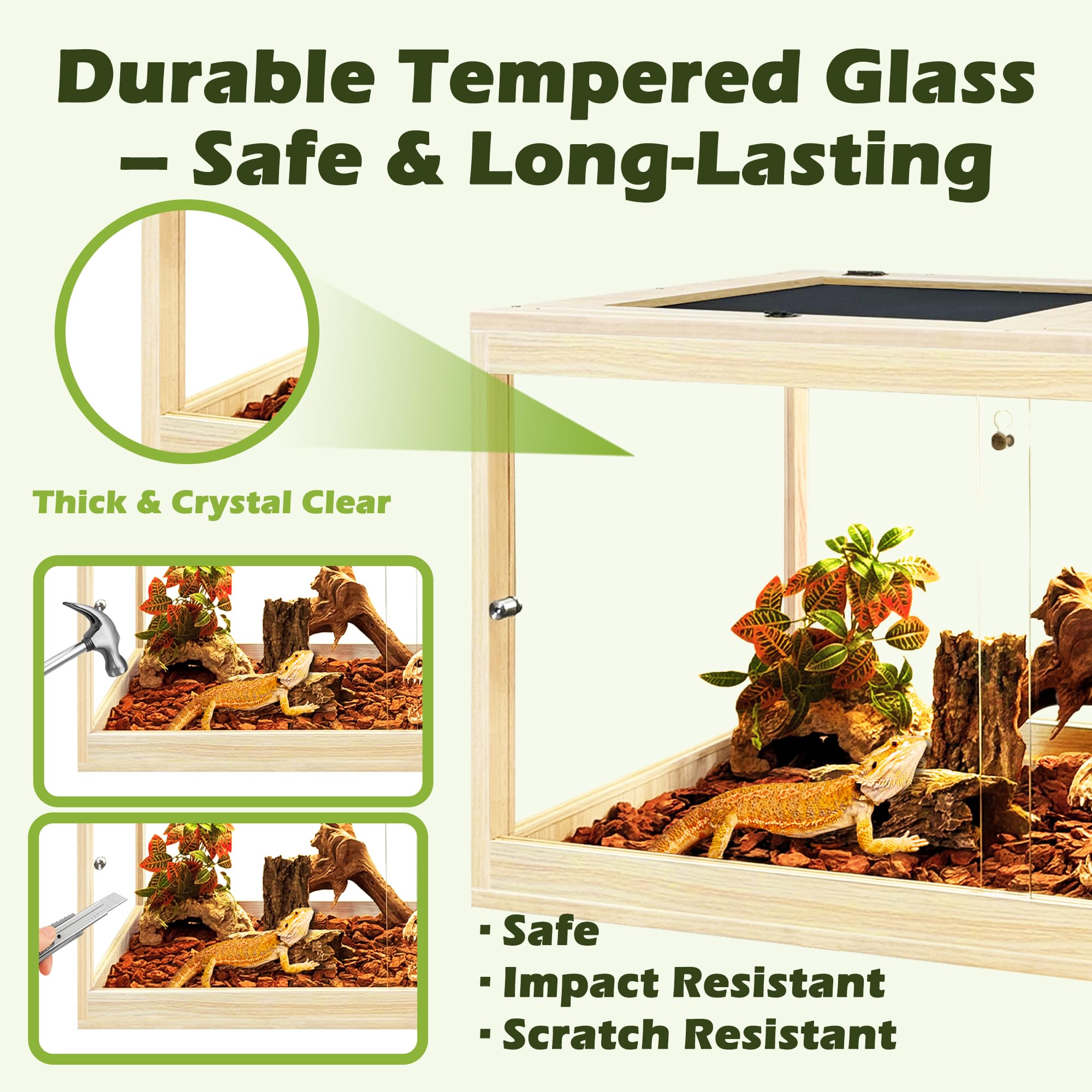 PROLEE oak tank 360° viewing promotes engaging observation of reptile activity