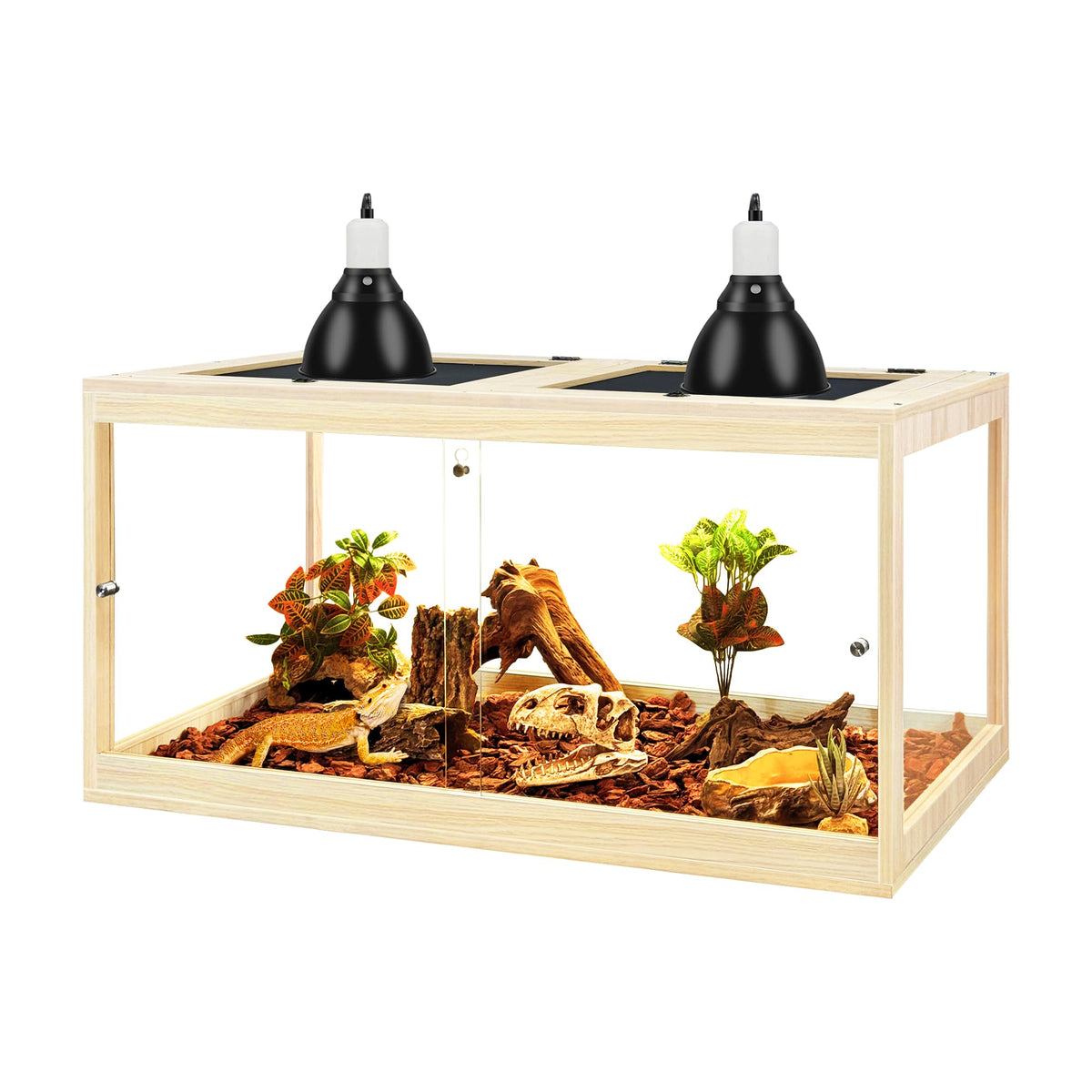 PROLEE tempered glass bearded dragon tank front view shows clear visibility for monitoring activity