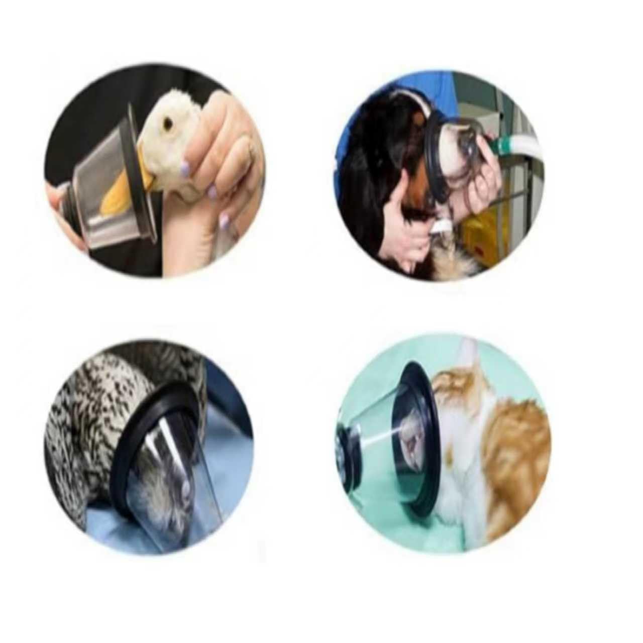 PROMEVET durable medical-grade construction supports repeated use and easy cleaning.