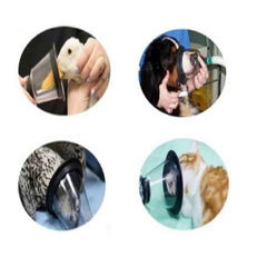 PROMEVET durable medical-grade construction supports repeated use and easy cleaning.
