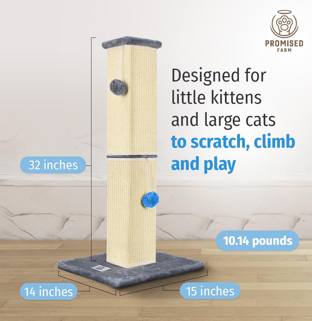 PROMISED FARM cat scratching post two play balls closeup demonstrates interactive entertainment